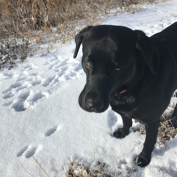 Meet the Posher - Picture 5 of 7